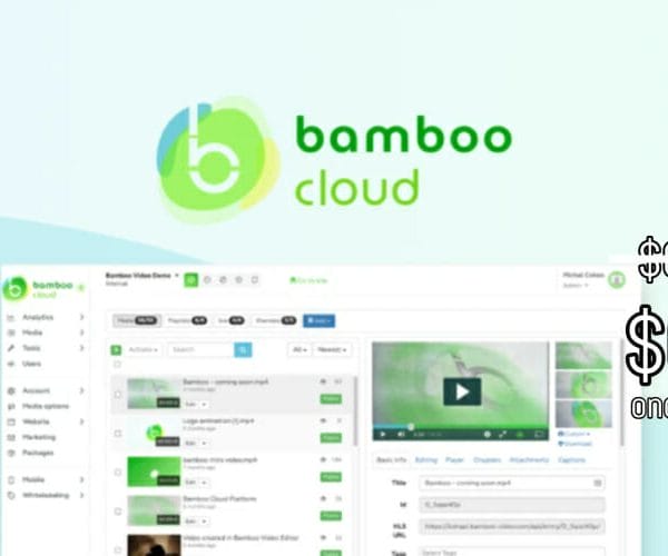 WAS AND NOW - Bamboo Cloud Lifetime Deal for $69 WAS $600.00