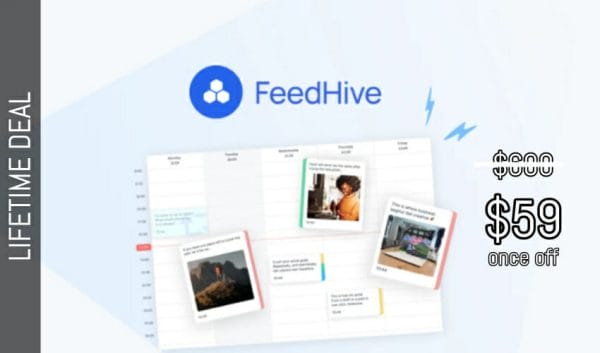 WAS AND NOW - Feedhive Lifetime Deal for $59 WAS $600.00