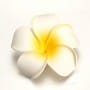 Beautiful Flower Hair Clip